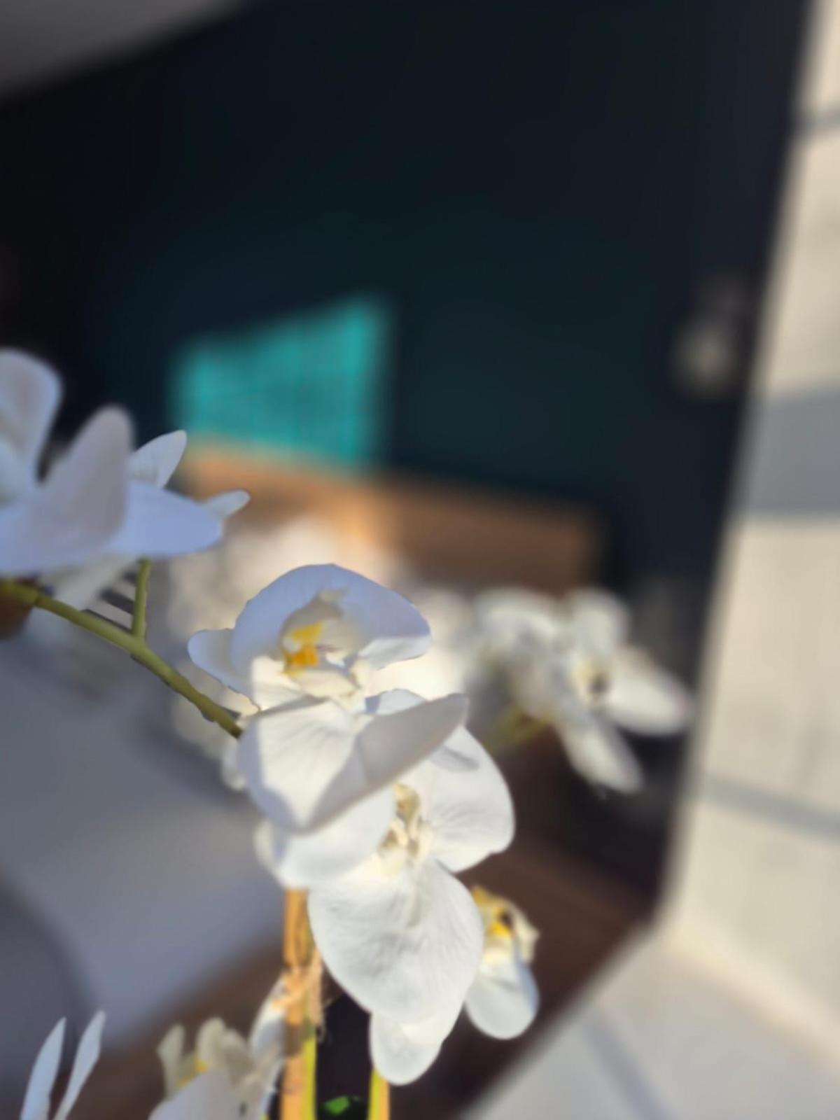 Quarrie House Aparthotel Cramlington Bagian luar foto